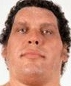 Andre THE GIANT