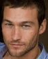 Andy WHITFIELD